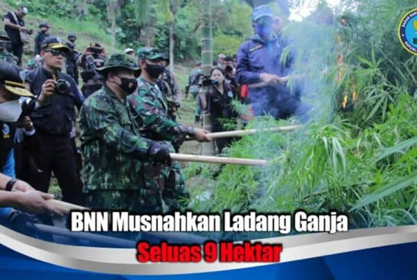 KEPALA BNN RI PIMPIN PEMUSNAHAN 9 HEKTAR LADANG GANJA DI ACEH UTARA